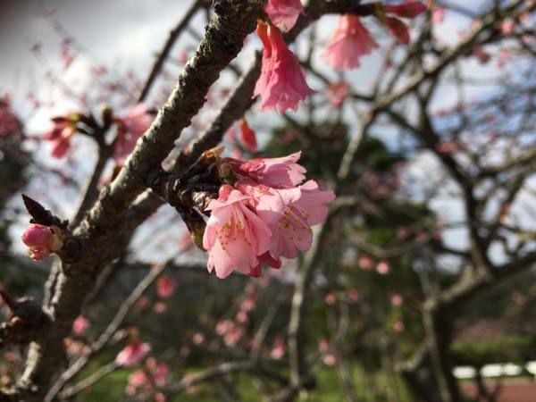 rblog-20160119095906-03.jpg