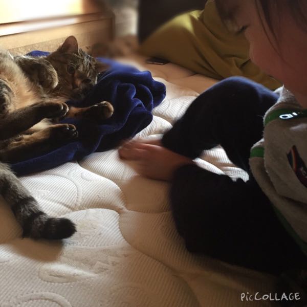 rblog-20151018222242-00.jpg