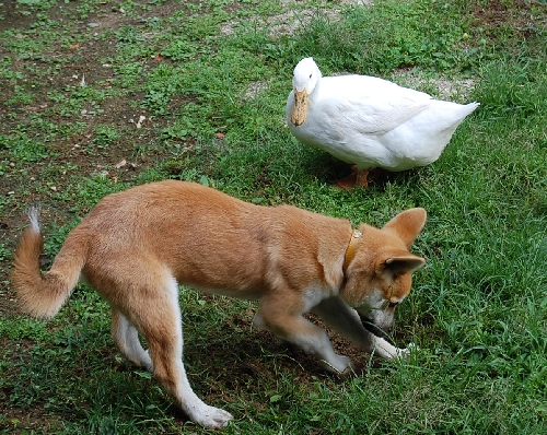 DSC_0007.JPG
