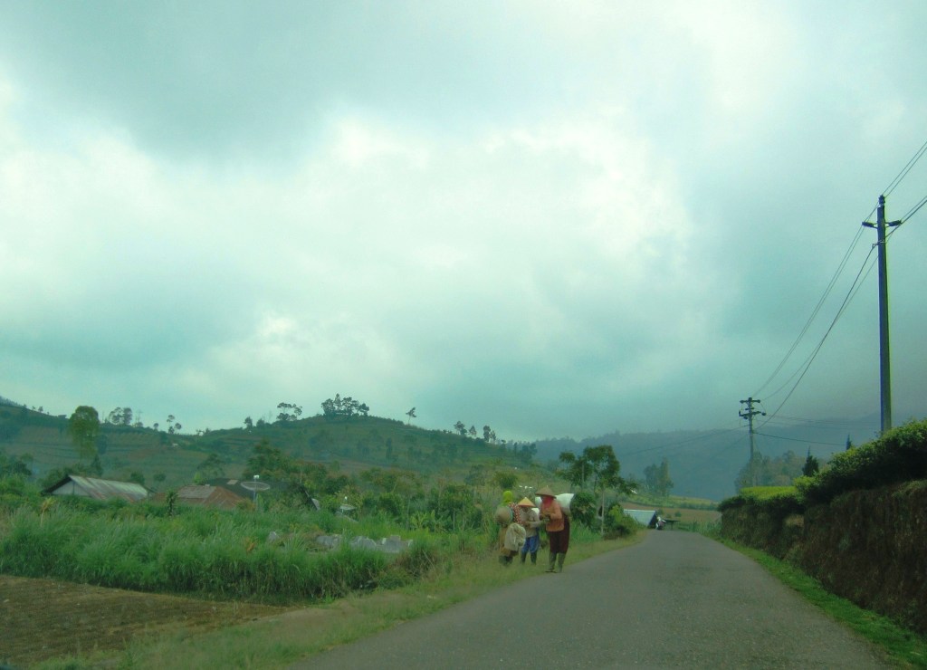 IMG_1100^.JPG