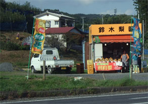 利府梨3.jpg