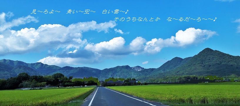 20170912_155245.jpg