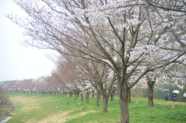 辰口 009.JPG