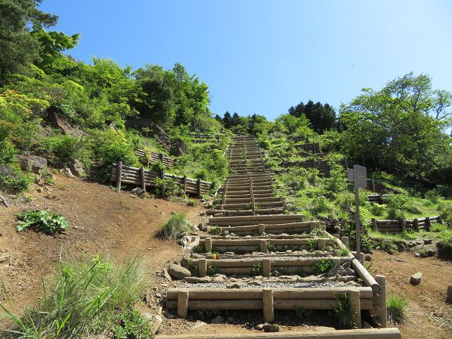 丹沢登山（1）渋沢駅→塔ノ岳山頂 | 星とカワセミ好きのブログ - 楽天ブログ