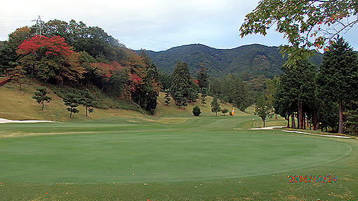 PA244860-4.jpg