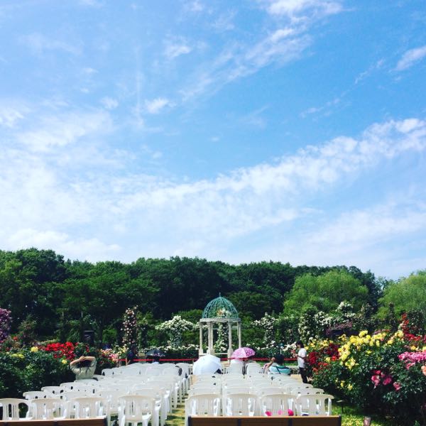 rblog-20160712101946-00.jpg
