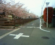 201204151203003.jpg