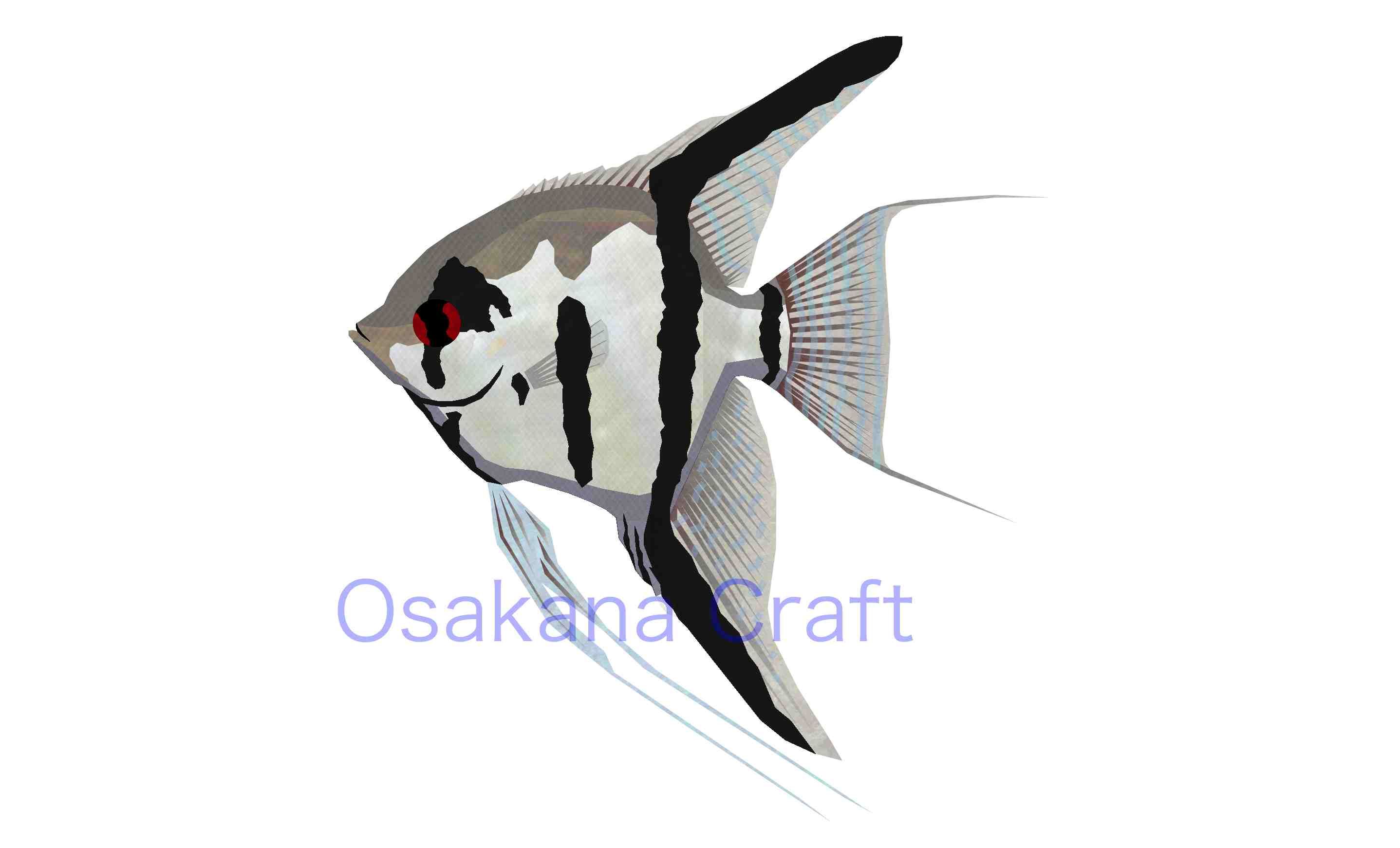 エンゼルフィッシュ Angelfish Osakana Craft イラスト熱帯魚図鑑 楽天ブログ