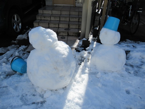 近くの雪景色＆ノエル