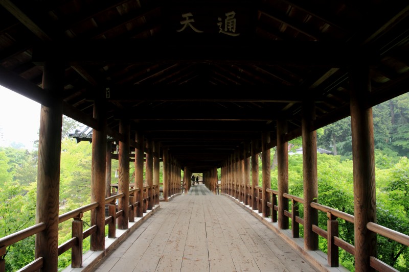 通天_003.jpg