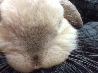 p_wata_20131117_Sut024.jpg