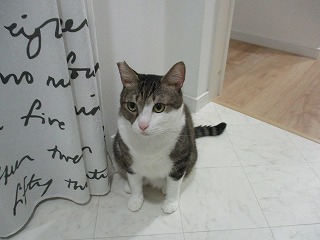 IMG_8795ss.jpg