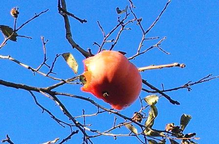 2014-11-14 15.16.37.jpg