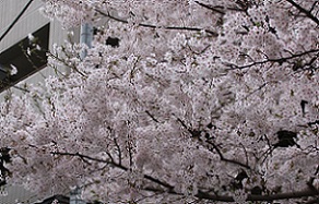 IMG_8198-2.jpg