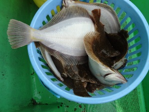 DSC02370.JPG