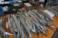 IMG_2331.jpg