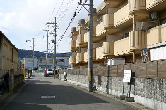 P1010250.JPG
