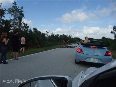 Everglades National Park 20151229-6