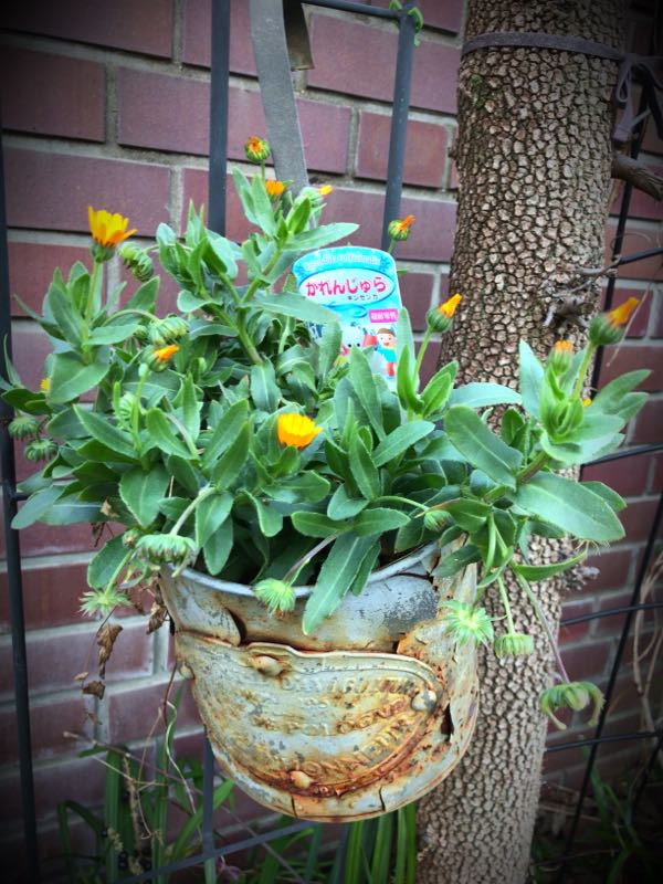 rblog-20161231164110-06.jpg
