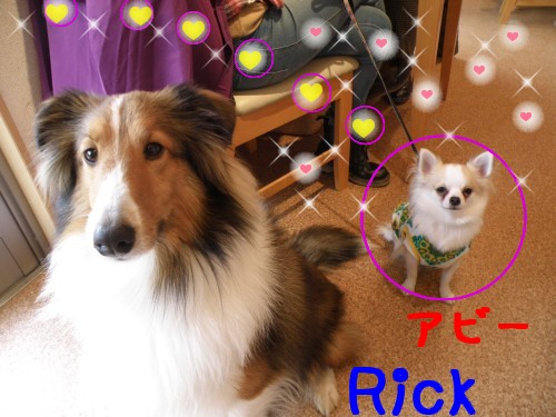 Rick・ｱﾋﾞｰ.JPG