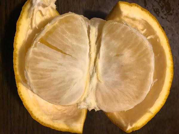 rblog-20190422200433-00.jpg