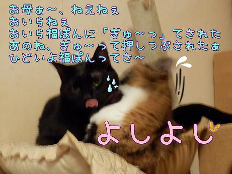 よしよし.JPG