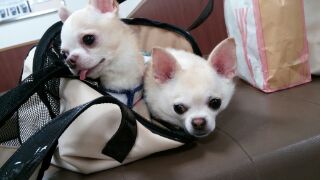 1409042202219.jpg