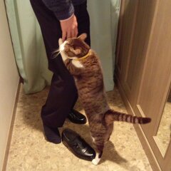 行ったらあかん１