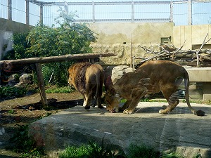 20120428(38).jpg