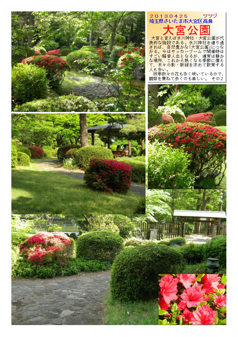 20130425oomiyakouen2-tutuzi.jpg