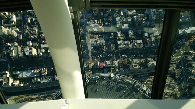 ツリー上から02