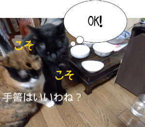 P6110023.png