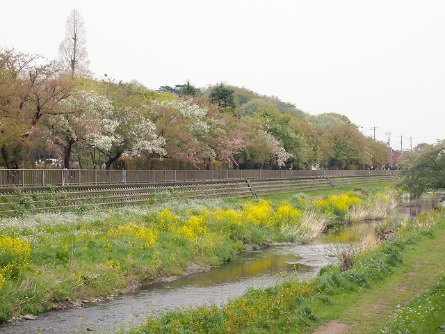 s-p1545.jpg