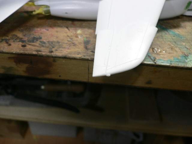 P1050007.jpg