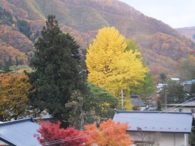 DSCF2806.jpg