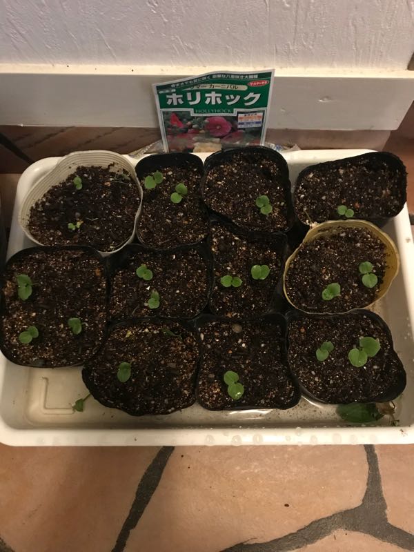 rblog-20180823191229-02.jpg