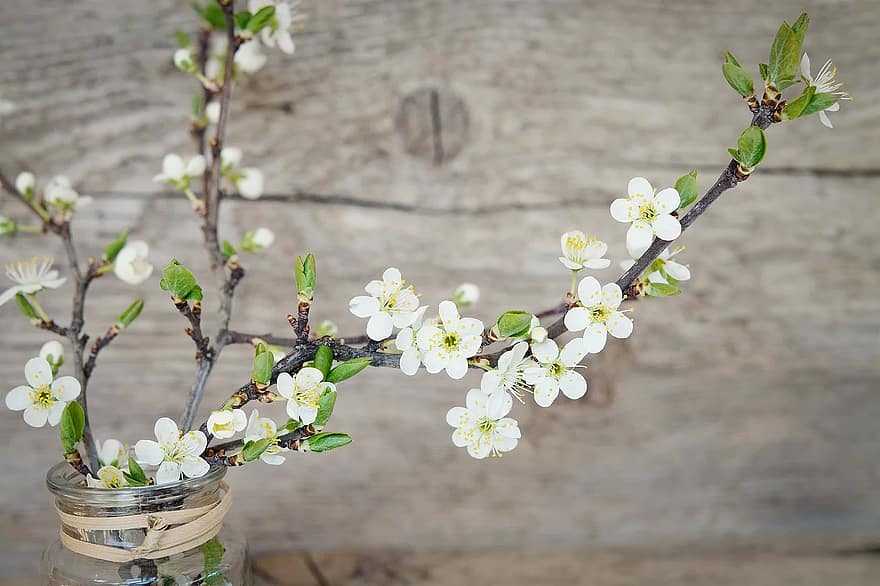 小さな幸せ集め時々猫