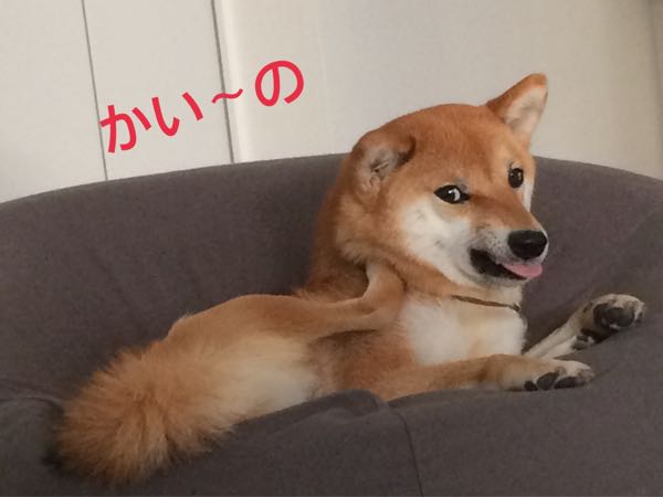 rblog-20170827112739-01.jpg