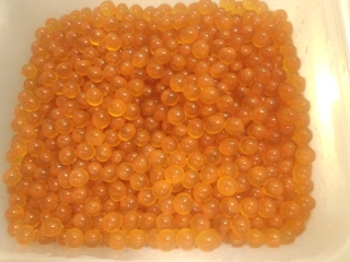 FJ310428 - コピー.JPG