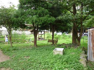 P1010273.JPG