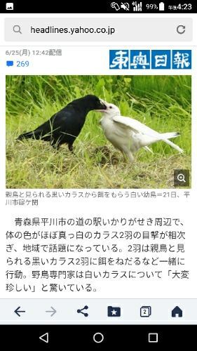 rblog-20180626164740-02.jpg