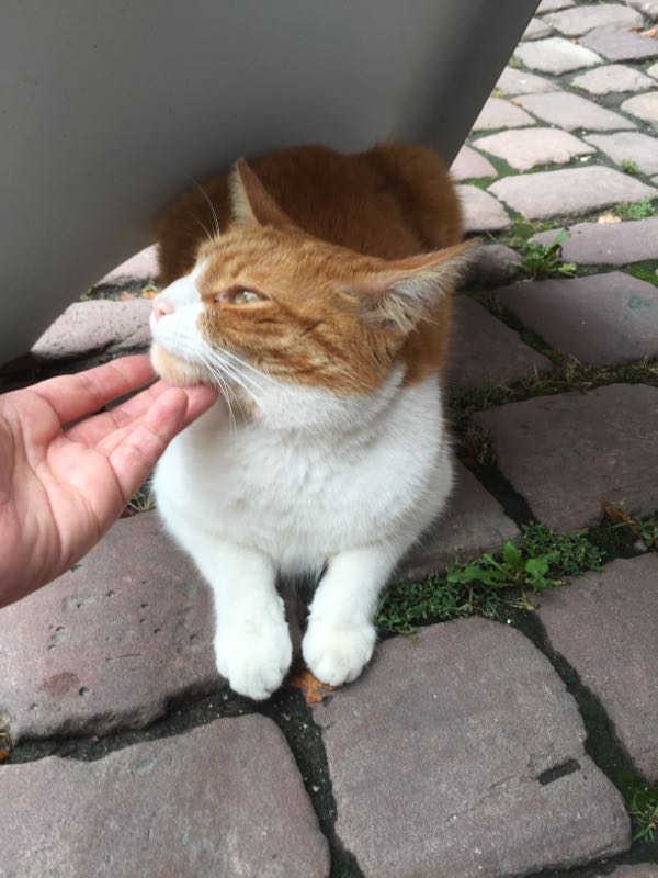 rblog-20150909224419-03.jpg