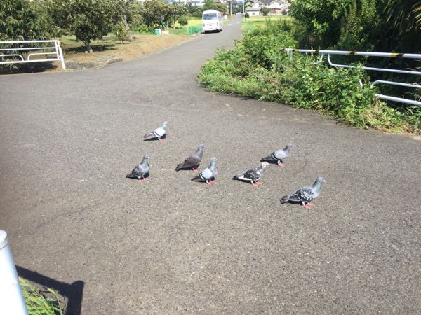 rblog-20180906071850-07.jpg