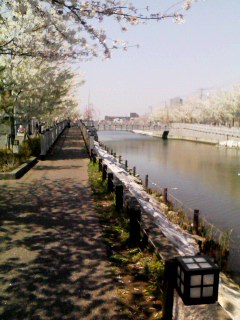 120409_1223~001.jpg