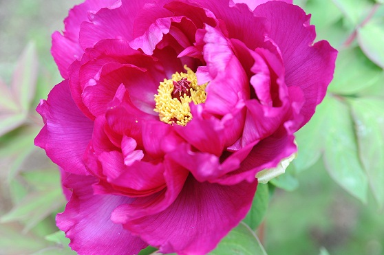 2013.4.26 011.JPG