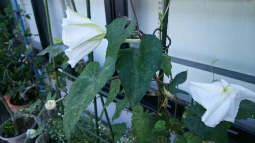 rblog-20170901091747-01.jpg