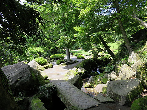 IMG_1293.jpg
