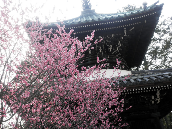 seiryoji-6