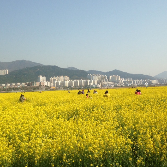 rblog-20140408190251-01.jpg