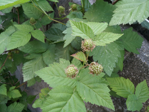 20120522_063639.jpg